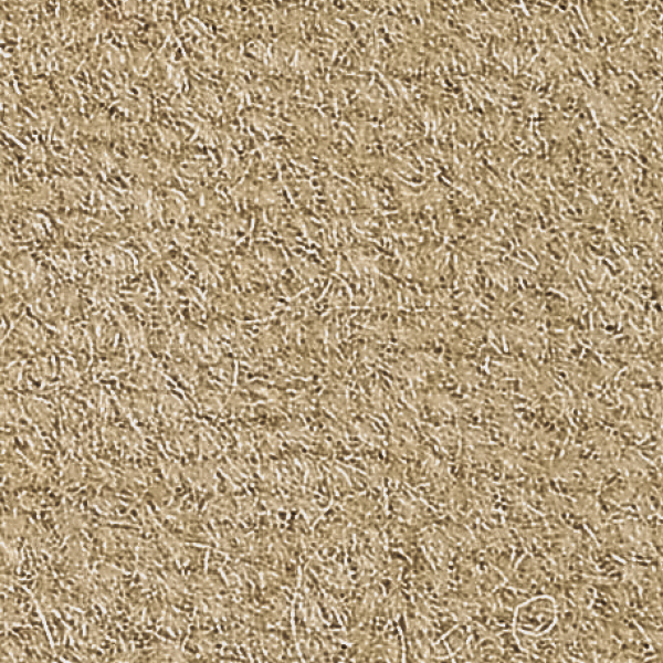 THẢM CUỘN  CAO CẤP ROLL CARPET